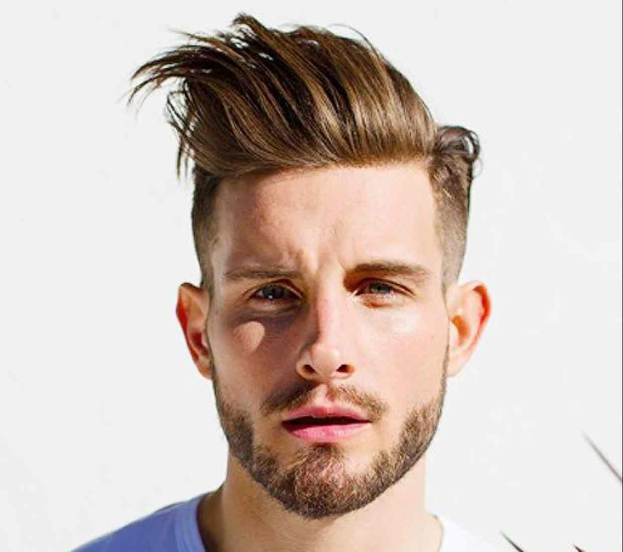 Avatar of Nico Tortorella