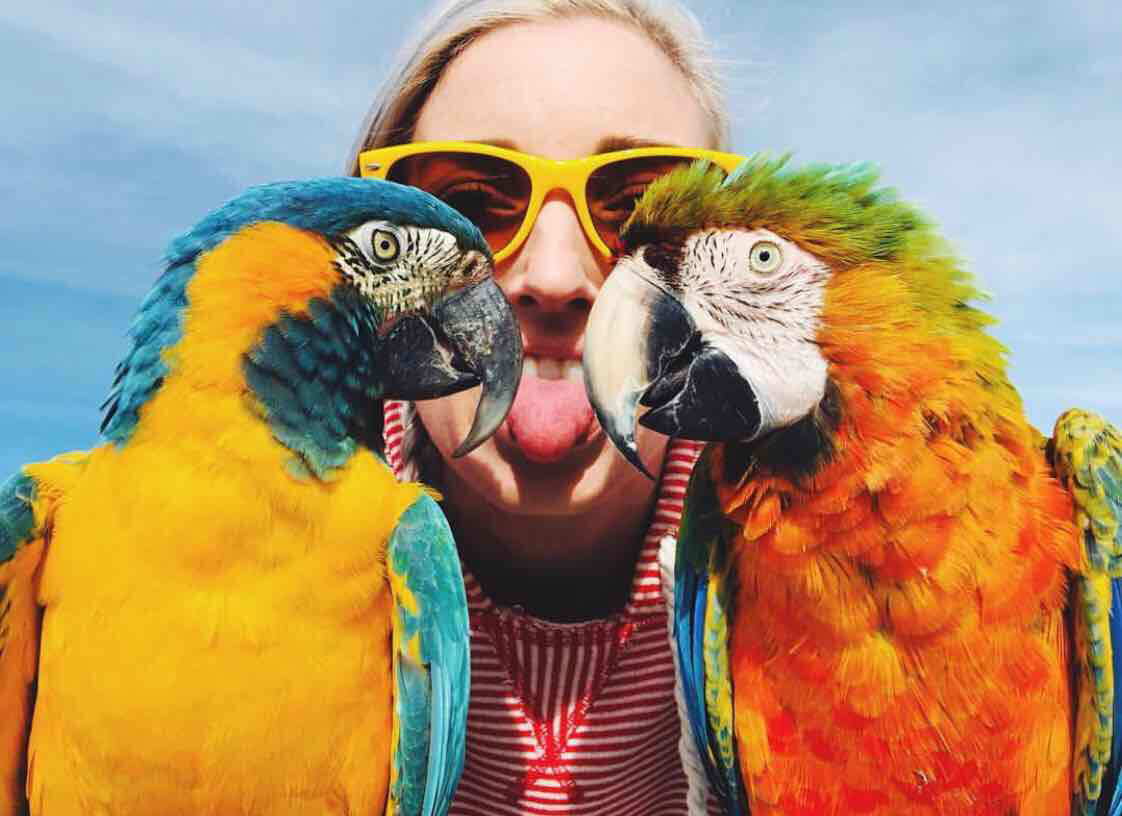 Avatar of BirdTricks
